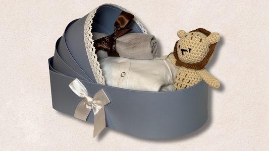 Panier cadeau pour nouveau-né garçon